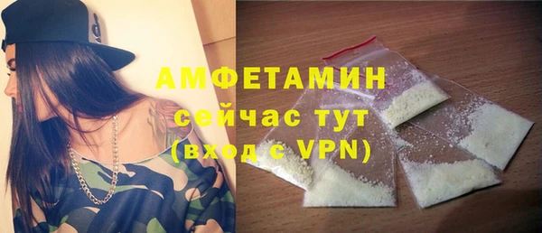 гидра Горнозаводск