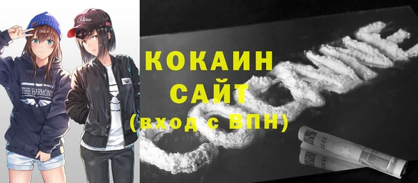 гидра Горнозаводск
