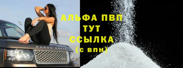 гидра Горнозаводск