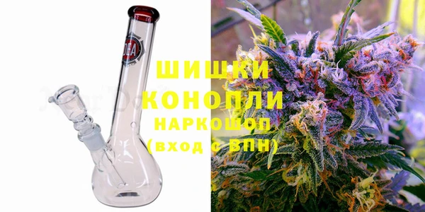 гидра Горнозаводск