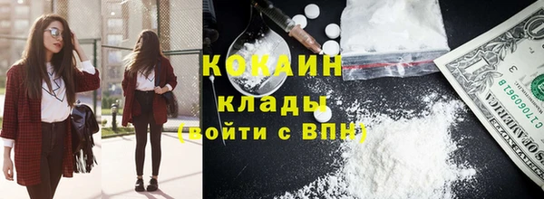 гидра Горнозаводск