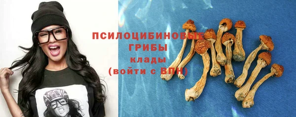 гидра Горнозаводск