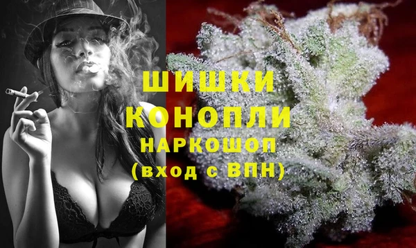 гидра Горнозаводск