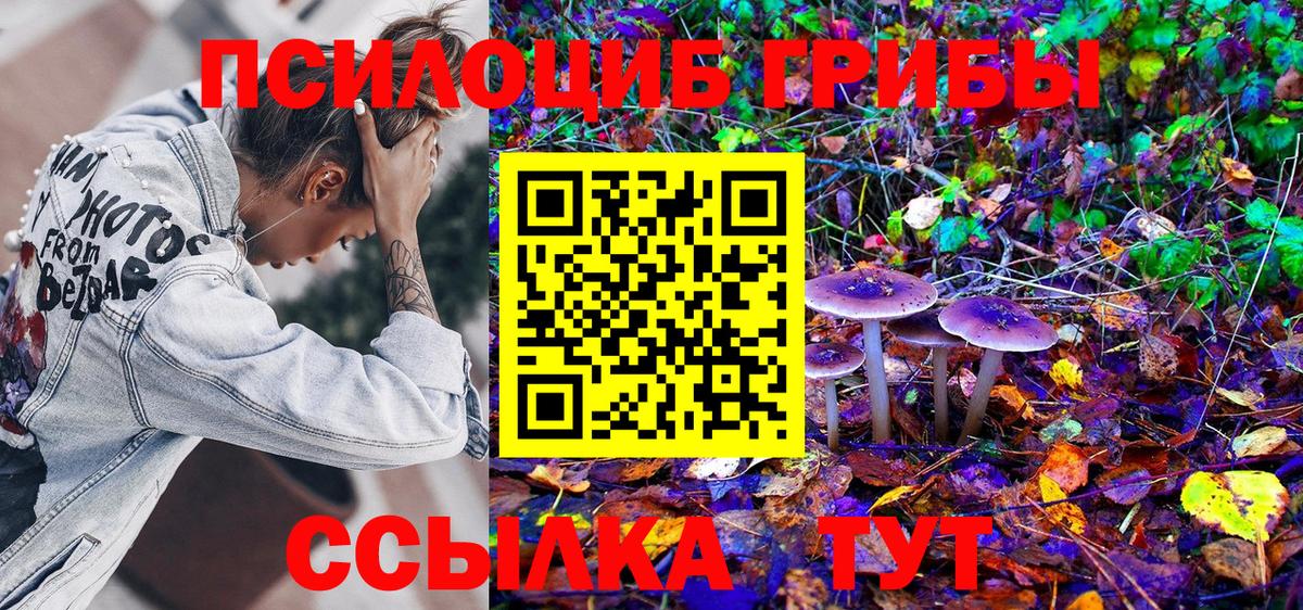 Псилоцибиновые грибы Magic Shrooms  Галлюциногенные грибы GOLDEN TEACHER  Югорск  Вход с VPN 