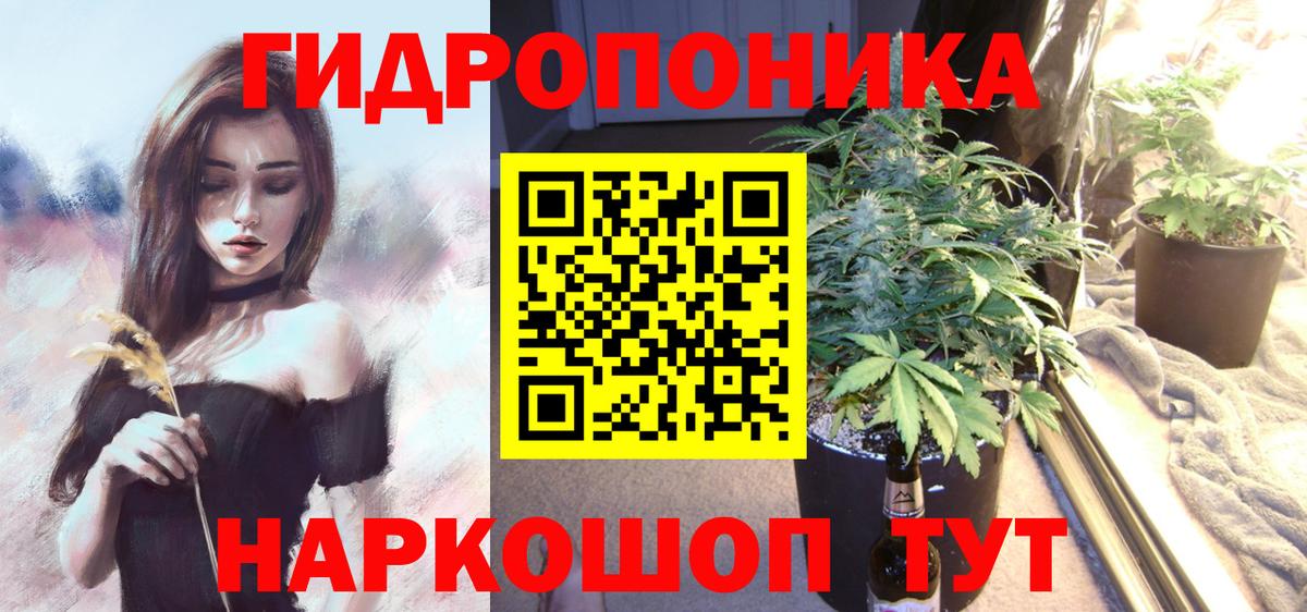 Конопля план  Вход с VPN  Югорск  Шишки марихуана AK-47  Шишки марихуана OG Kush  Шишки марихуана MAZAR 